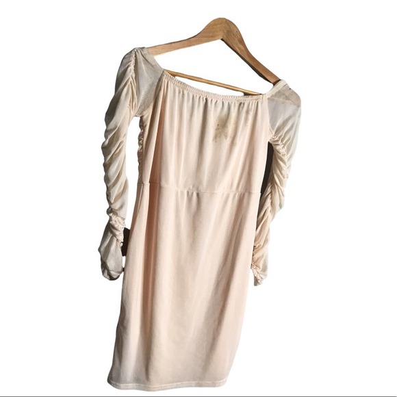 PrettyLittleThing | New Blush Ruched Mesh Bardot Bodycon Dress - Picture 10 of 12